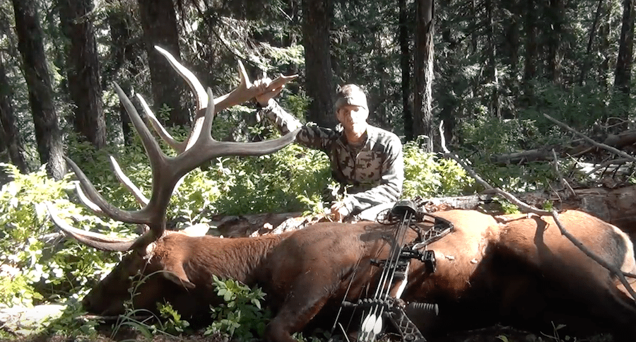 Archery Elk Hunt