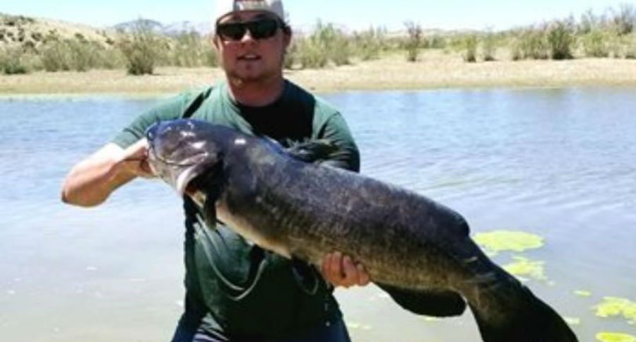Wyoming state record