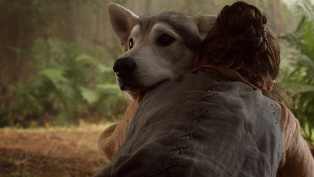 Dire Wolves Game of Thrones