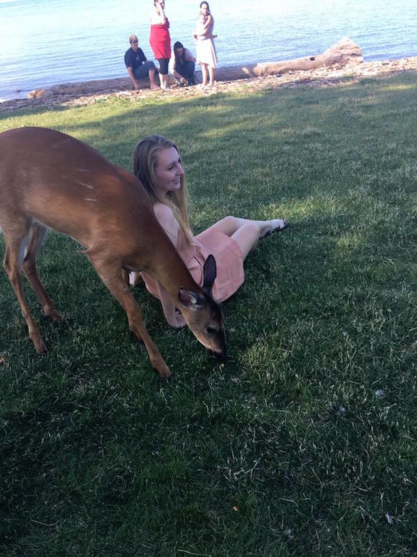 deer photobomb