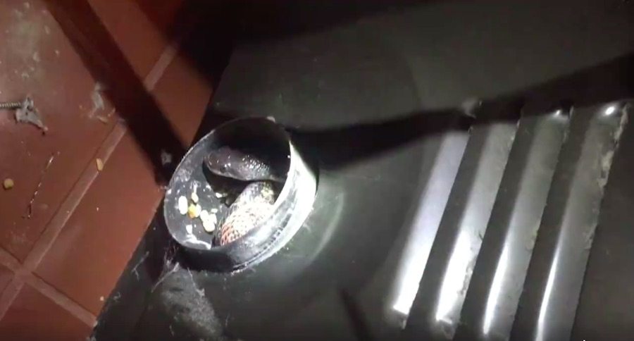 dryer vent