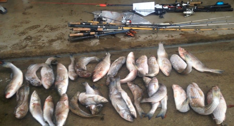 fish poachers