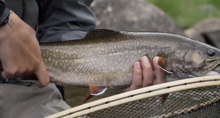 fly fishing