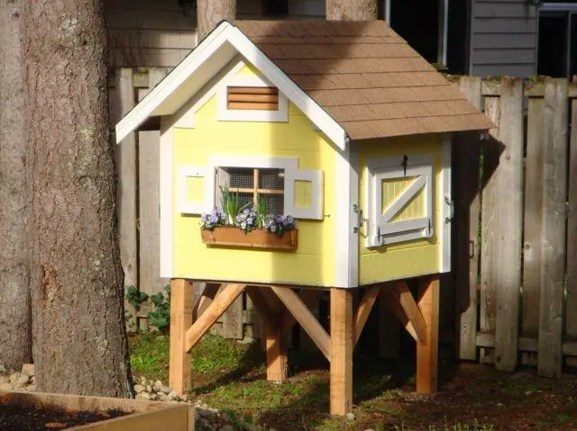 Best Small Chicken Coop Plan