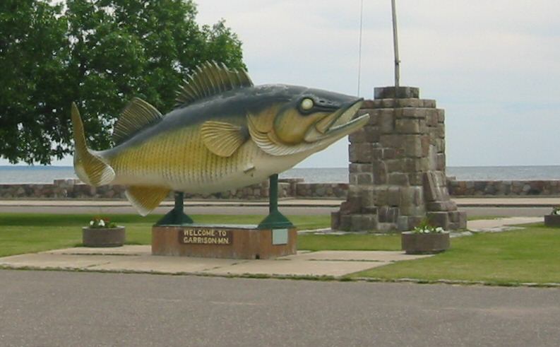 walleye