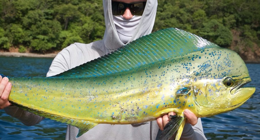 offshore kayak fishing