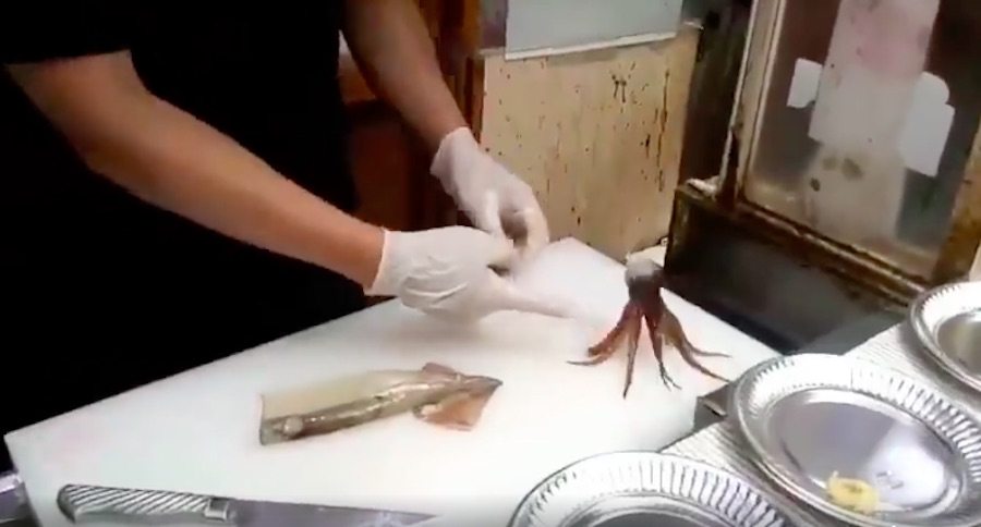sashimi