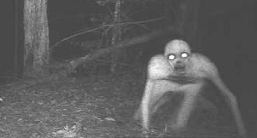scariest game camera pictures