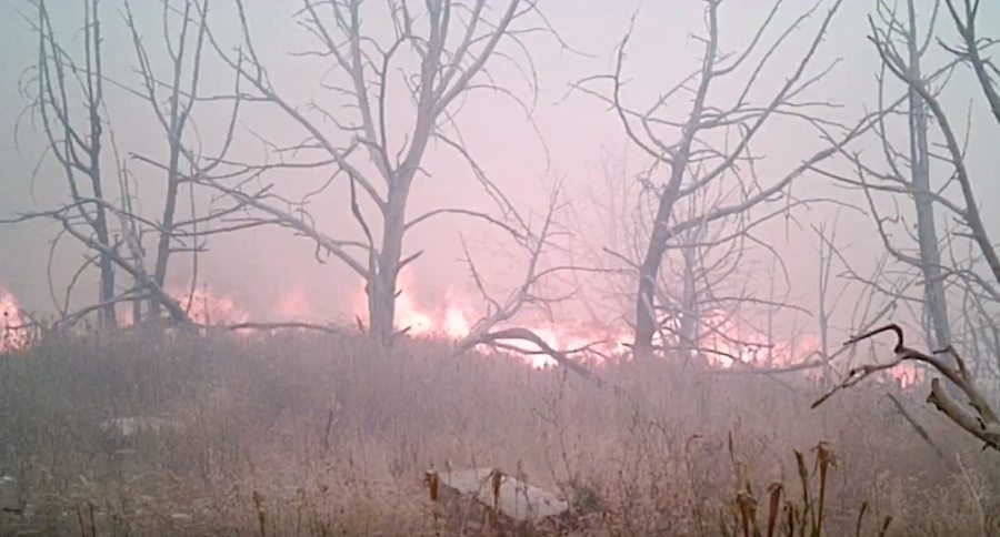 trail camera caught in wildfire