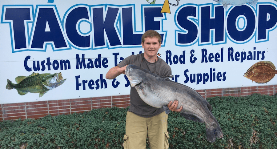 record blue catfish