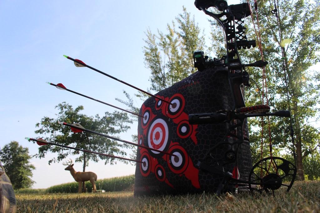 bow target