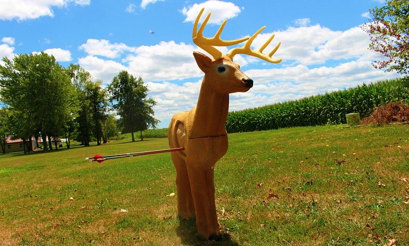buck target