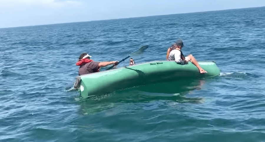 fishing for goliath grouper