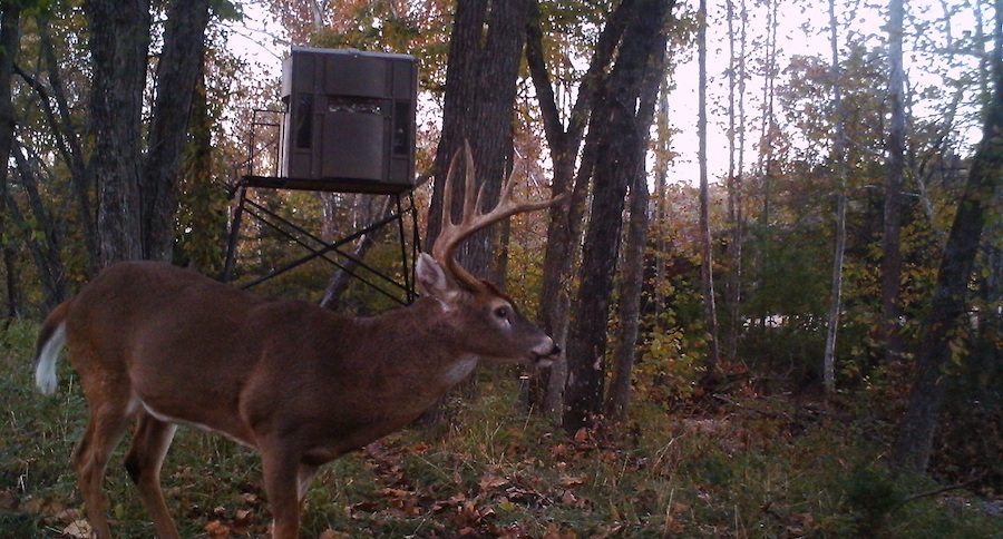 luxury hunting blinds