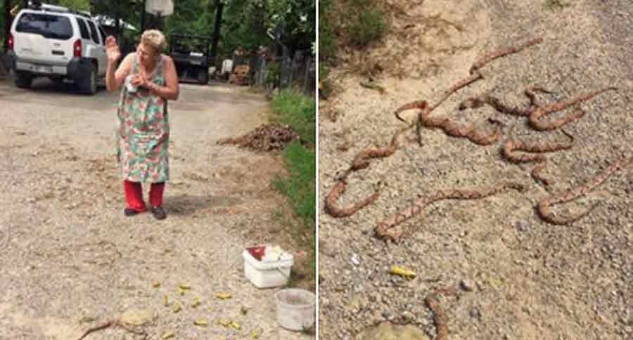 Oklahoma granny