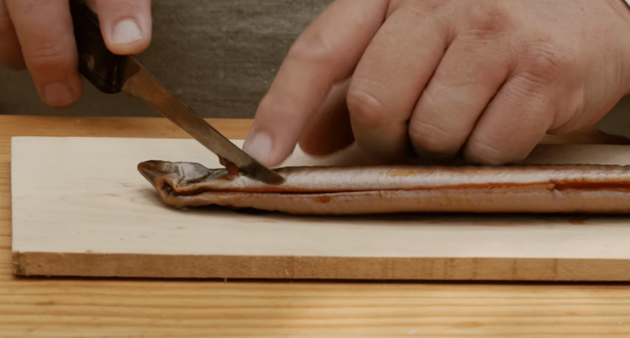 eel