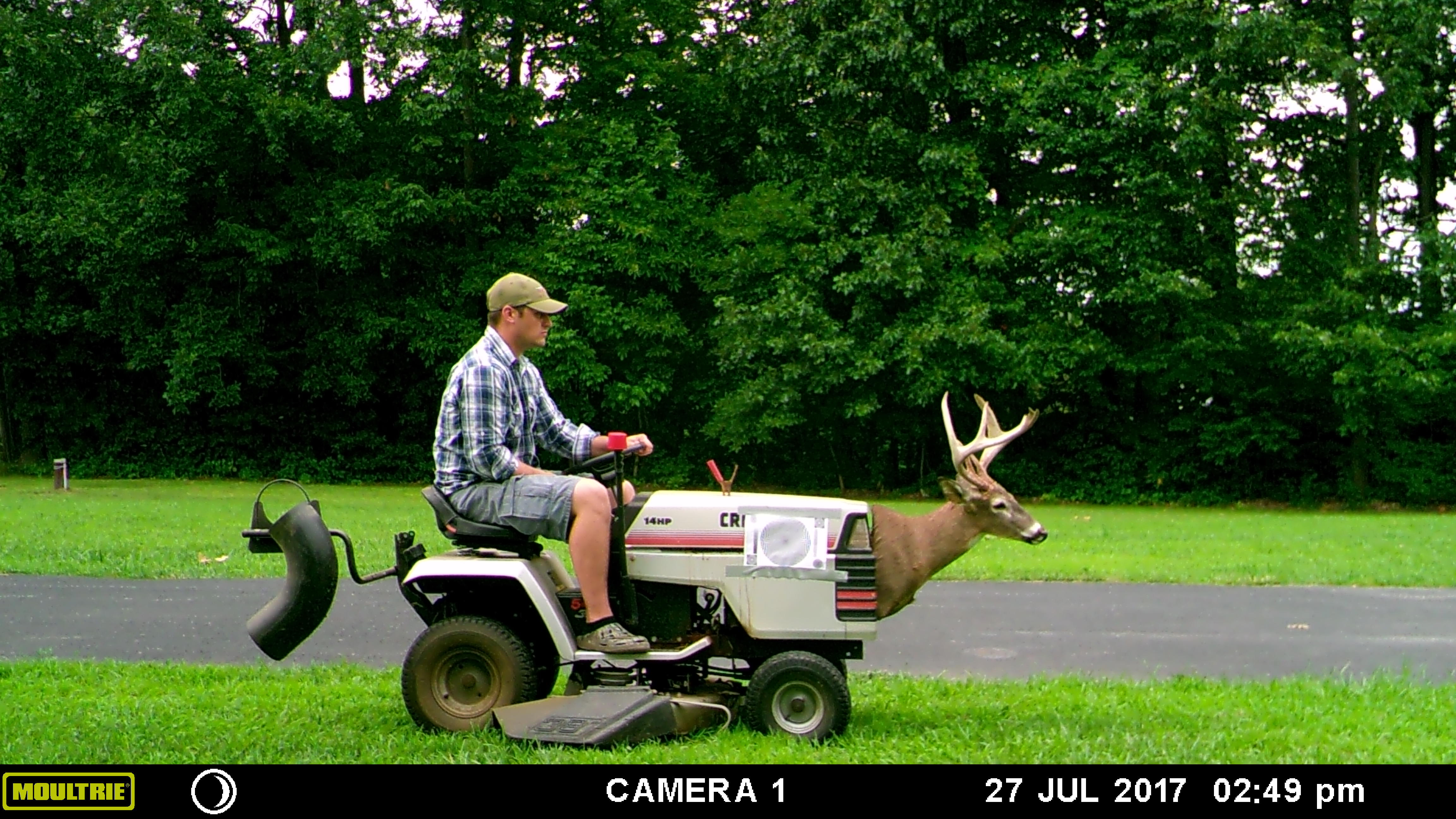 moultrie a-30 camera