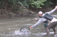 Video: You Can Catch Big Fish With a Pink, Light-Up Fishing Pole - Wide  Open Spaces