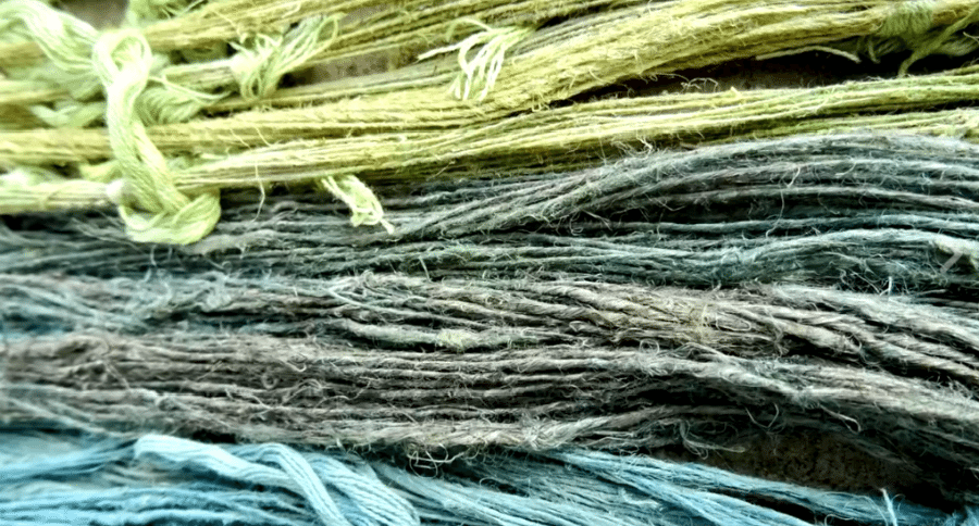 stinging nettles