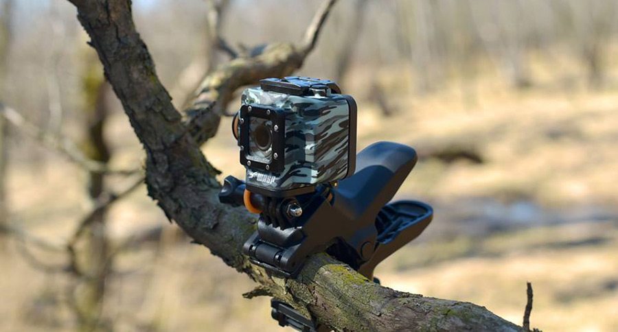 waspcam