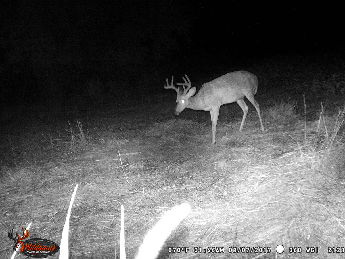 wildgame innovations 360 nighttime wgi