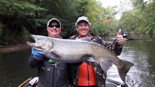 Michigan King Salmon