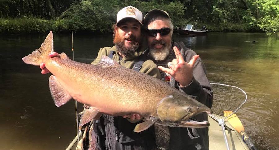 Michigan king salmon