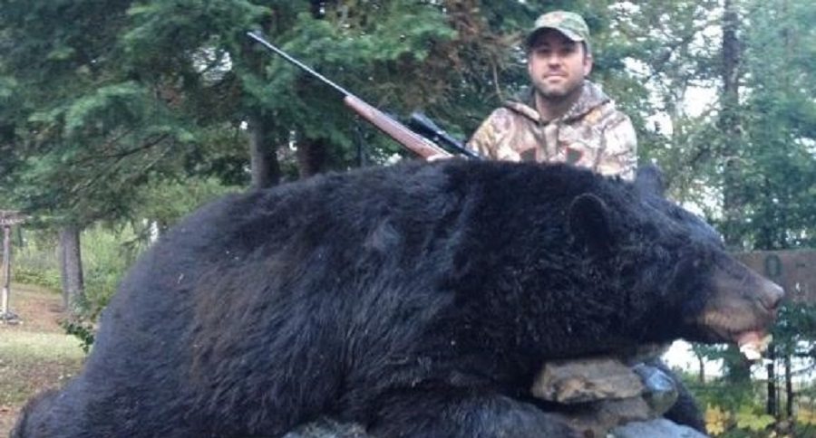 black bear