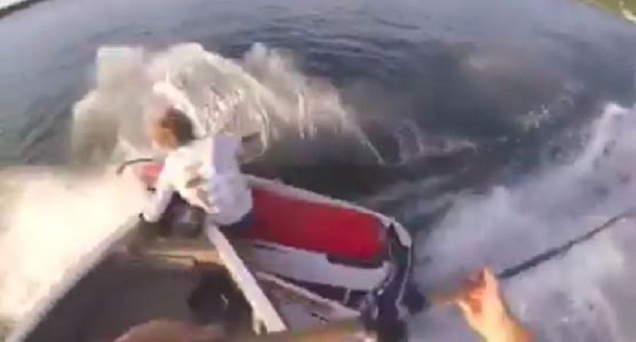 jet ski hits boat