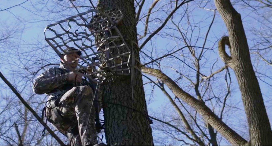 Lone Wolf Treestand