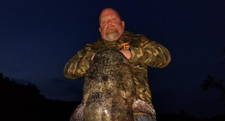 Minnesota record flathead catfish