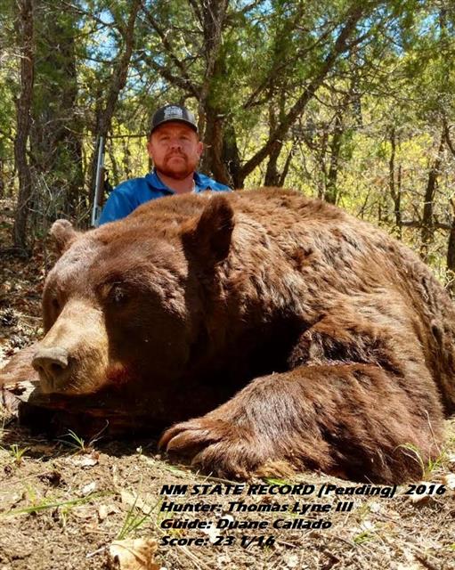 These Are The Biggest Black Bear Kills In The Record Books Thomas Lyne