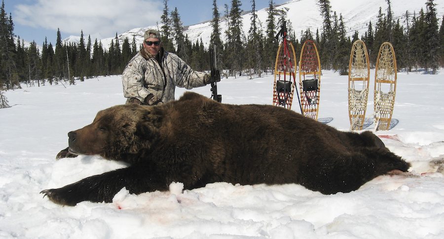 biggest grizzly bear kills in the record books featured