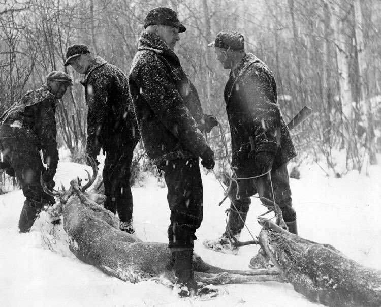 vintage deer hunting