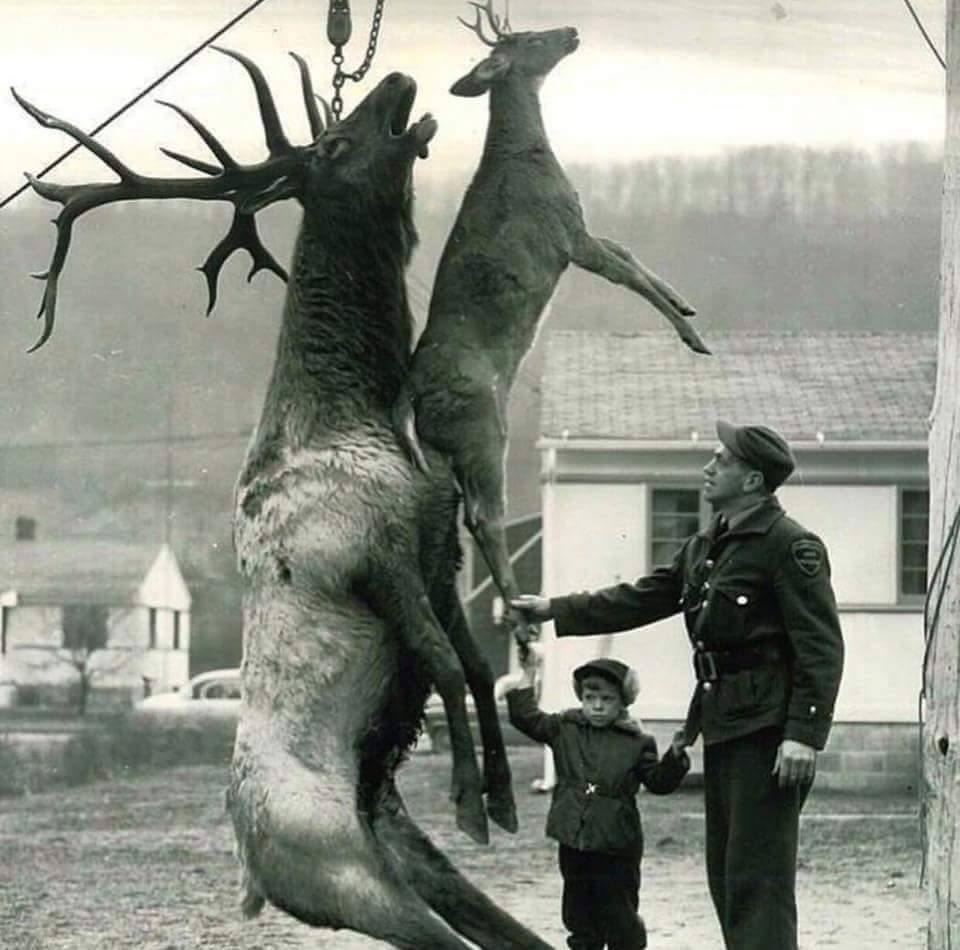 vintage deer hunting