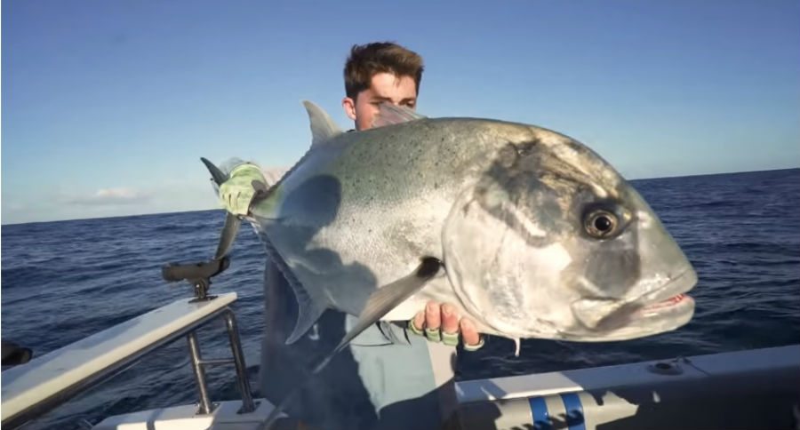 giant trevally