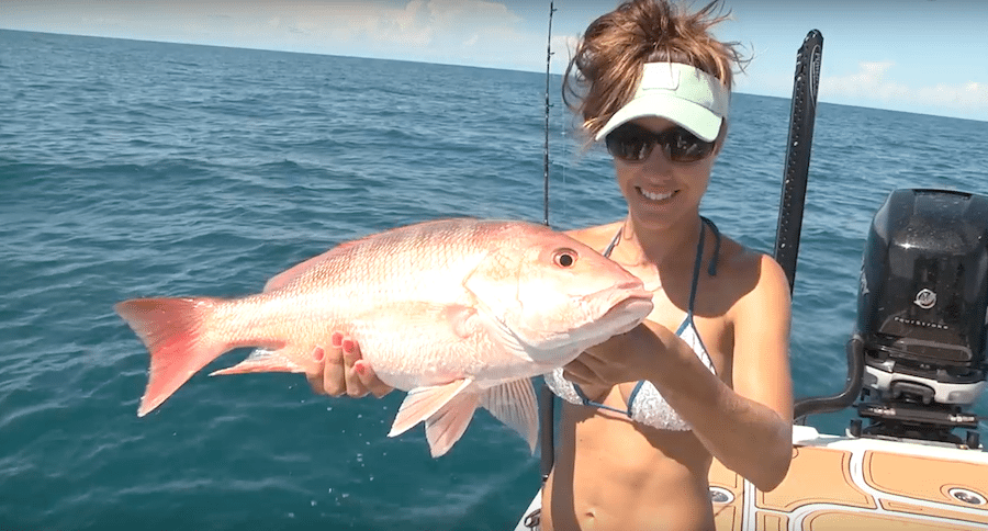 huge red snapper