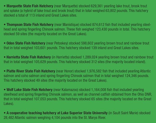 michigan stocks
