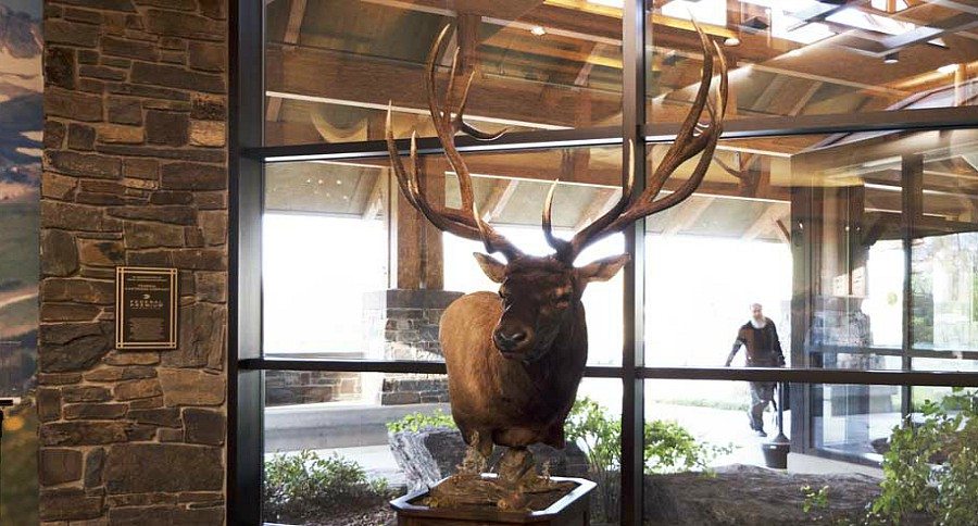 record elk