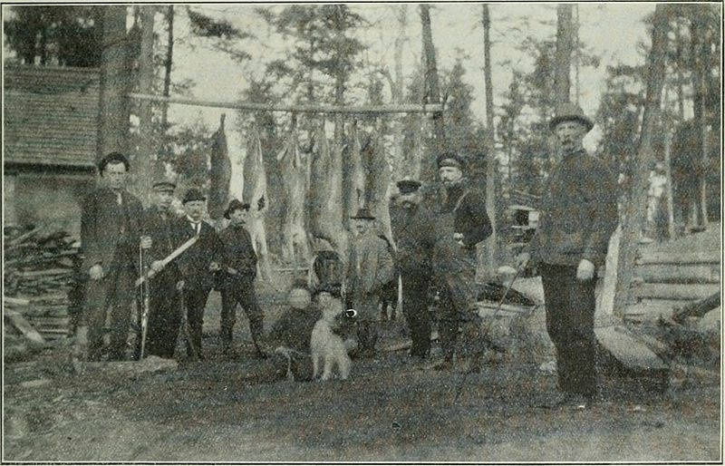 vintage deer hunting
