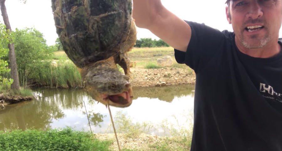 Les Johnson's Secret Weapon for Catching a Snapping Turtle - Wide Open ...