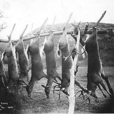 vintage deer hunting