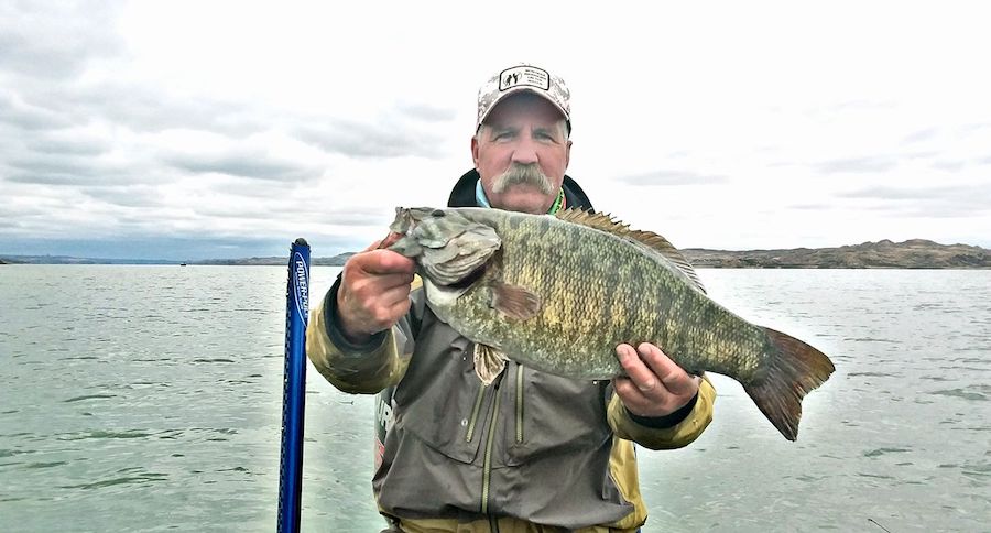 Montana smallmouth record