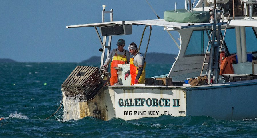 fishing recovery