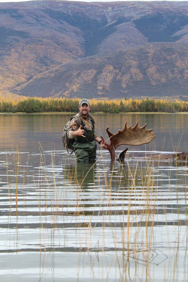 Yukon bull moose