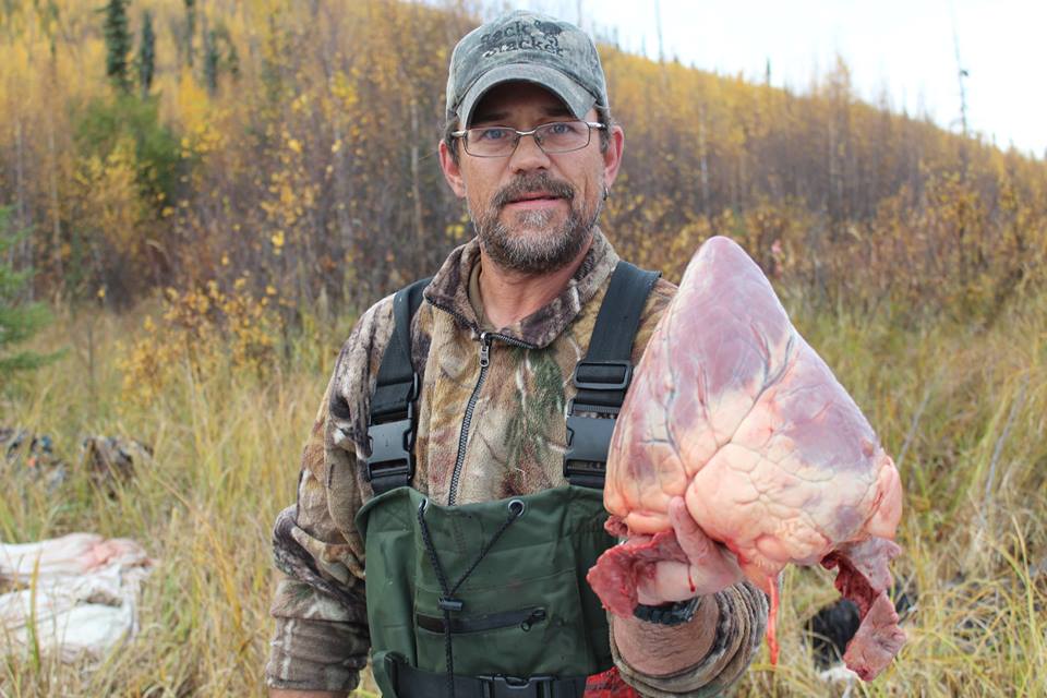 Yukon bull moose