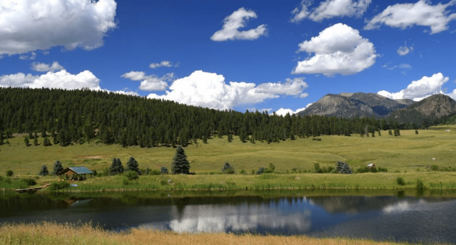 Colorado hunting