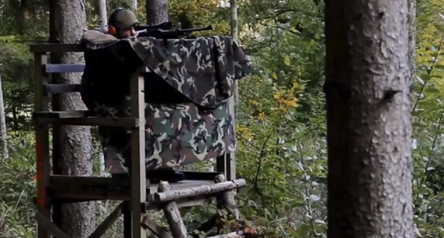 vegan became a hunter