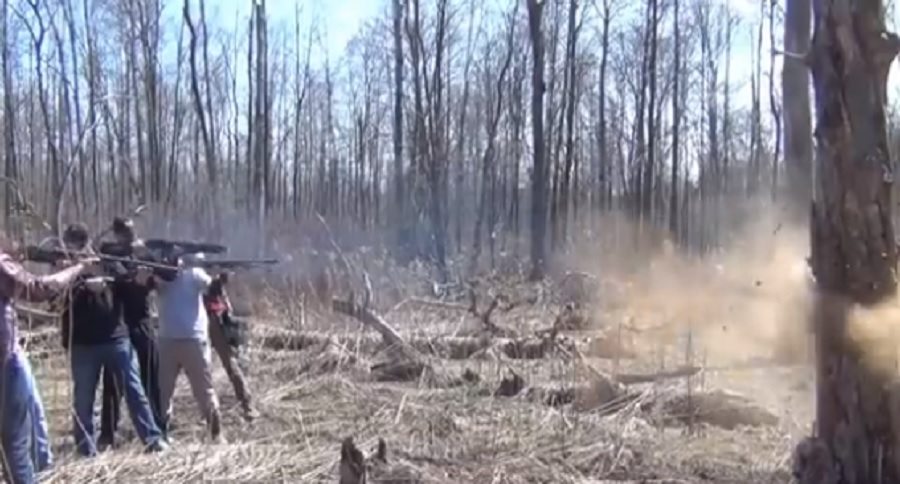 cutting down a tree with shotguns