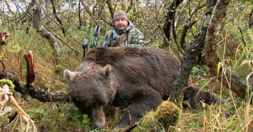 biggest alaska brown bear Gus Congemi